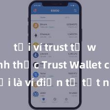 tải ví trust từ web chính thức Trust Wallet có phải là ví điện tử tốt nhất tại Việt Nam không?